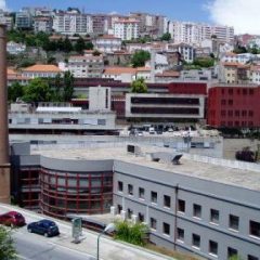 Imagem da notícia: UBI contrata investigadores para estudar envelhecimento