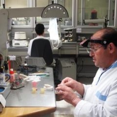 Imagem da notícia: LTD: Uma refer&ecirc;ncia na Pr&oacute;tese Dent&aacute;ria