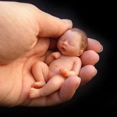 Imagem da notícia: Abortos diminu&iacute;ram 7,6%