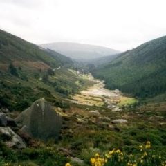 Imagem da notícia: Irlanda apresenta a DTAI