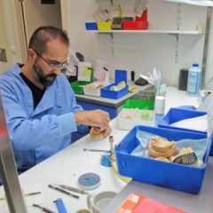 Imagem da notícia: Apaixonado pela Pr&oacute;tese Dent&aacute;ria