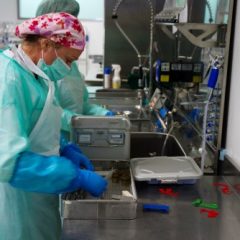 Imagem da notícia: M&eacute;todo de descontamina&ccedil;&atilde;o in&eacute;dito em Portugal