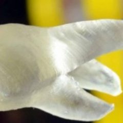 Imagem da notícia: Israelitas criam m&eacute;todo anti-infe&ccedil;&otilde;es “quase infal&iacute;vel”