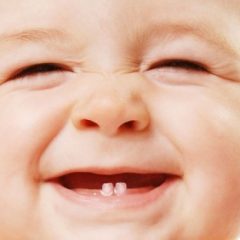 Imagem da notícia: Preservar c&eacute;lulas estaminais dos dentes?