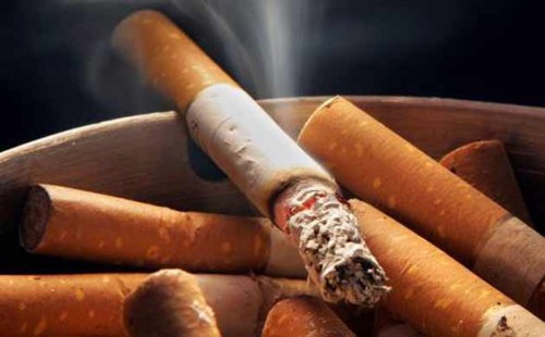 Imagem da notícia: OMD alerta para consequências do tabaco