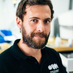 Imagem da notícia: Pedro Andrade em entrevista