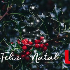 Imagem da notícia: Festas felizes!