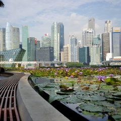 Imagem da notícia: Reserve já o seu espaço para a IDEM Singapore 2020