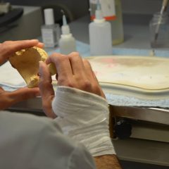 Imagem da notícia: Covid-19: quais os apoios para técnicos de prótese dentária?
