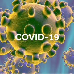 Imagem da notícia: Covid-19: Divulgado apoio financeiro a sócios-gerentes