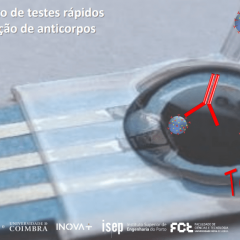 Imagem da notícia: TecniCov: testes rápidos para monitorizar anticorpos para Covid-19 em soro e saliva