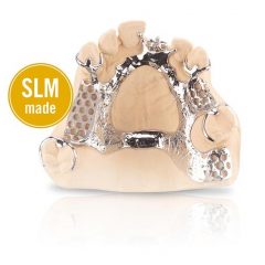 Imagem da notícia: BEGO apresenta próteses parciais removíveis fabricadas com WIRONIUM RP