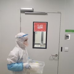 Imagem da notícia: UA massifica testes à Covid-19 combinando saliva e plataforma digital