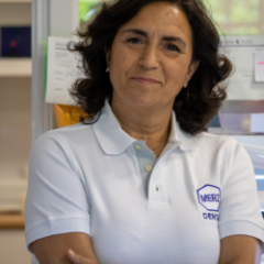 Imagem da notícia: “A prótese removível é o patinho feio da prótese dentária”