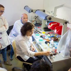 Imagem da notícia: “Nunca deixo nada por dizer, porque acho que só assim é que podemos formar bons profissionais!”