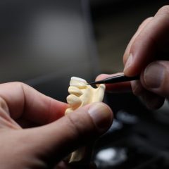 Imagem da notícia: MD Academy com curso para técnicos de prótese dentária