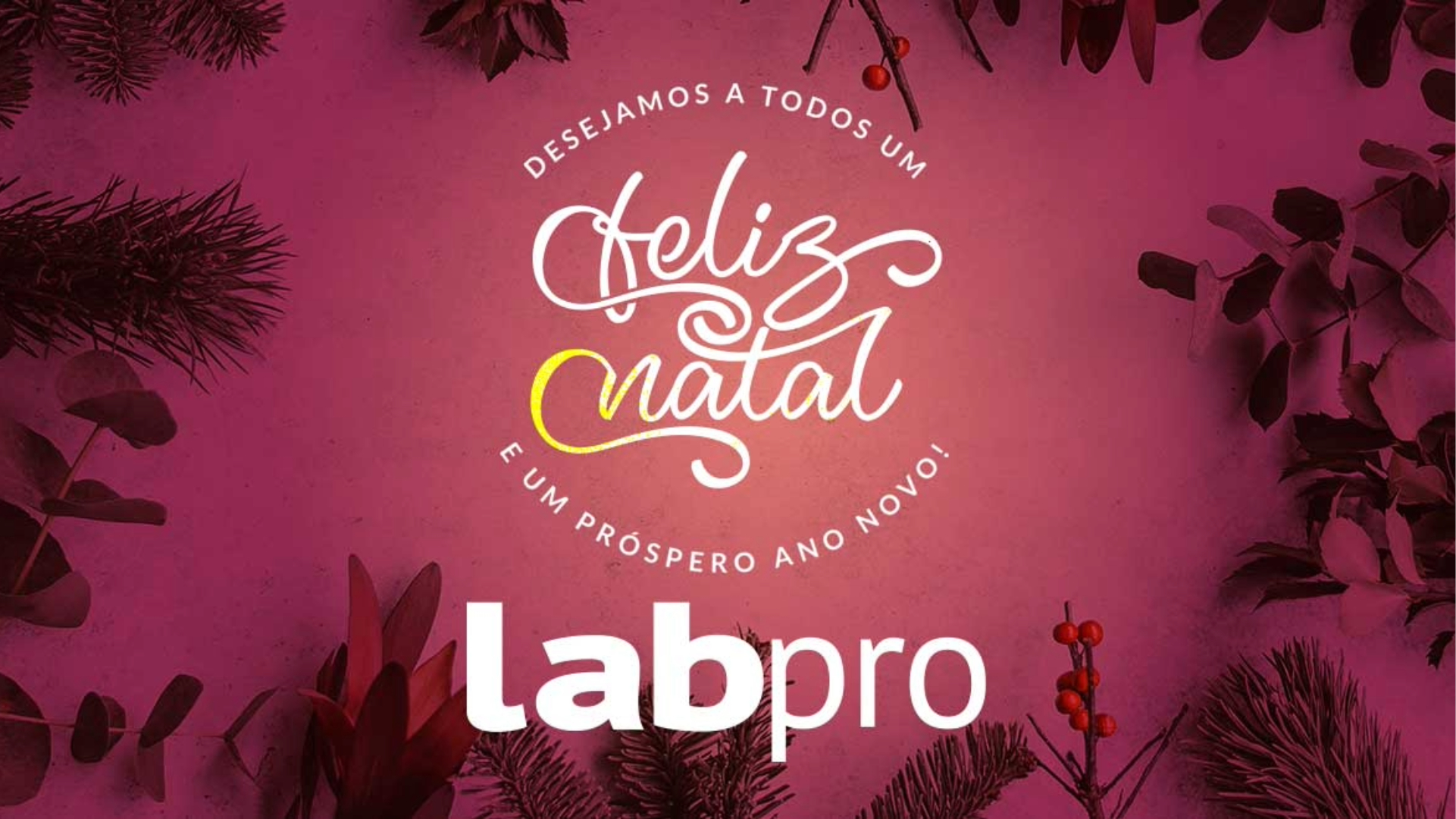 Imagem da notícia: Boas Festas e um excelente 2026!