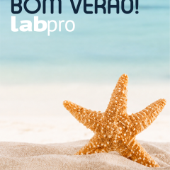 Imagem da notícia: A equipa da LabPro deseja-lhe um verão feliz