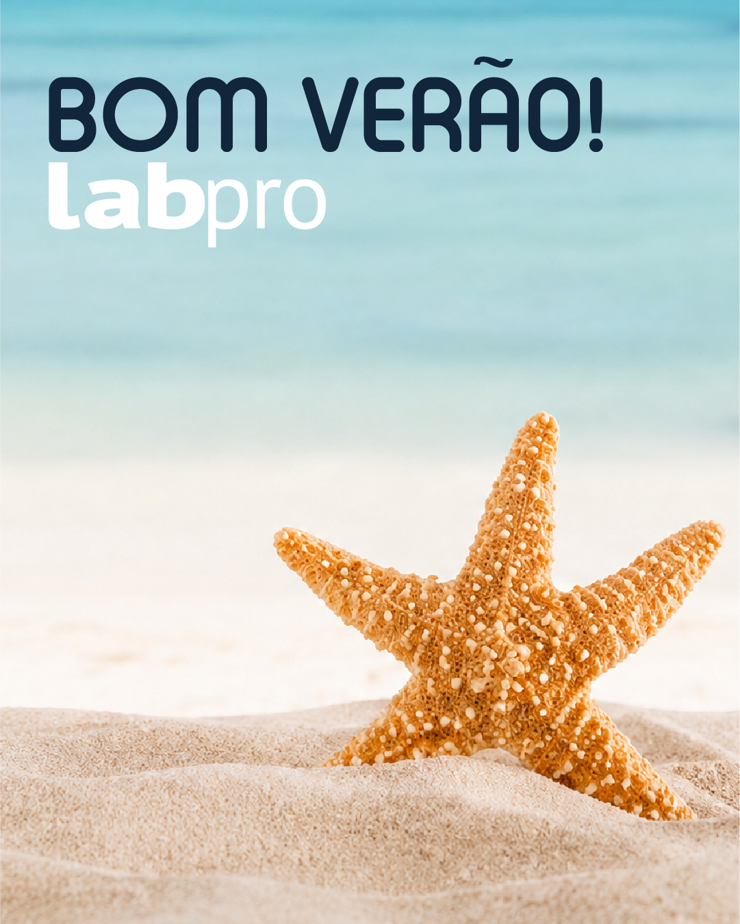 Imagem da notícia: A equipa da LabPro deseja-lhe um verão feliz