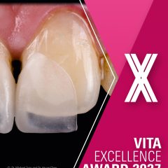 Imagem da notícia: VITA Excellence Award 2027 com inscrições abertas